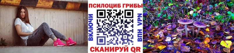 Галлюциногенные грибы Magic Shrooms  mega маркетплейс  Дзержинск 